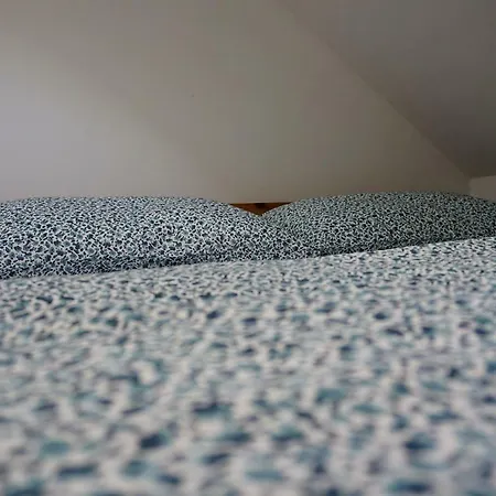 Corner * 博维茨